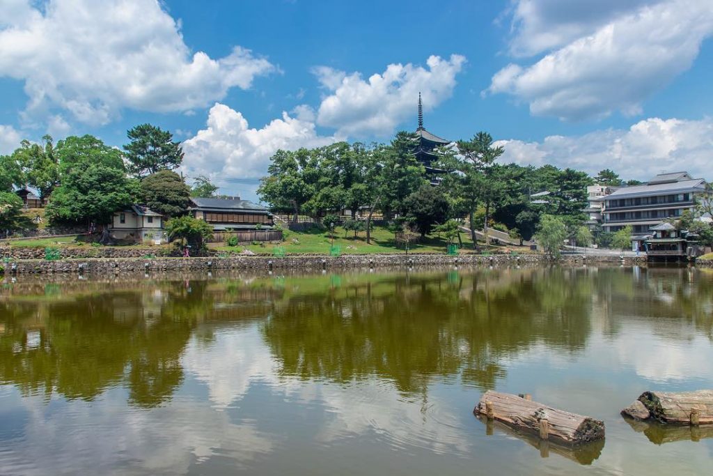 Un #panorama di #nara durante il viaggio con @nerdkitchen #instatravel #travelmemories #lifeofexploring #travelingram #travelgram&hellip;