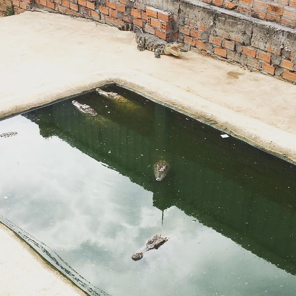 Siem Reap ~ #newpost #asia #cambodia #siemreap #rosiontour #reisenfuerweltentdecker #starttheadventure #backpackers #weltreise #oncearoundtheworld #travellers&hellip;