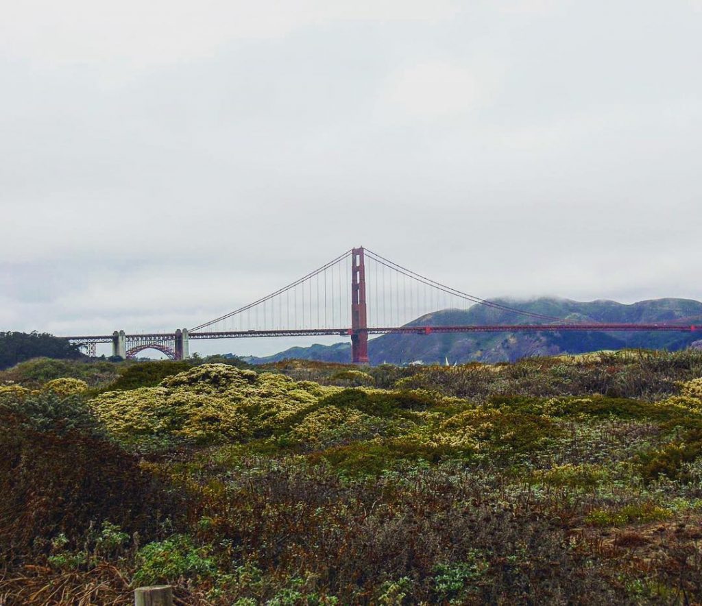 The iconic Golden Gate Bridge, visible even through the thickest of bay fog! Read…