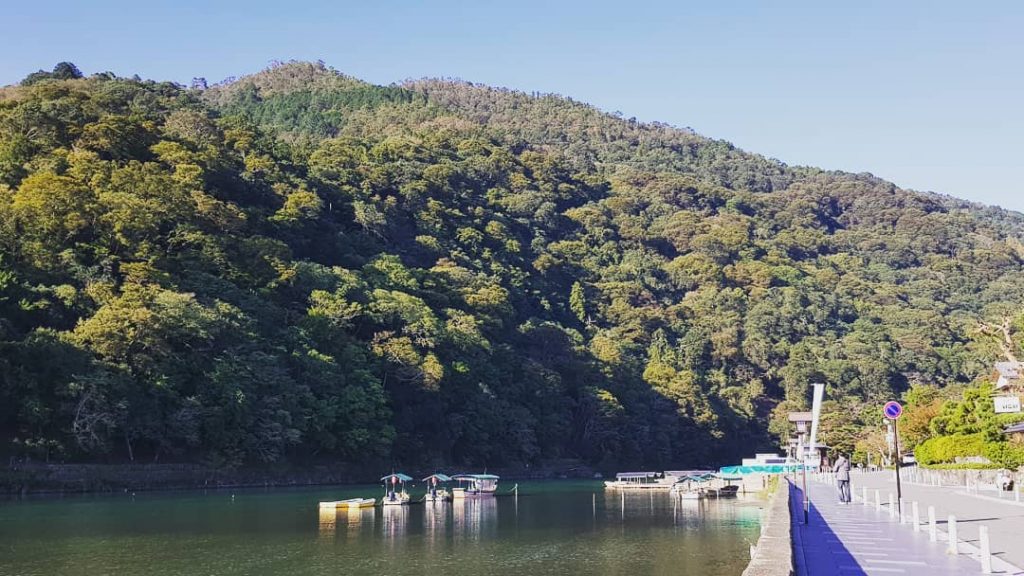 Into the woods. . #Arashiyama #Kyoto #Kansai #Japan #travel #travelgram #instatravel #wanderlust #visitjapanjp #JapaneseCulture&hellip;