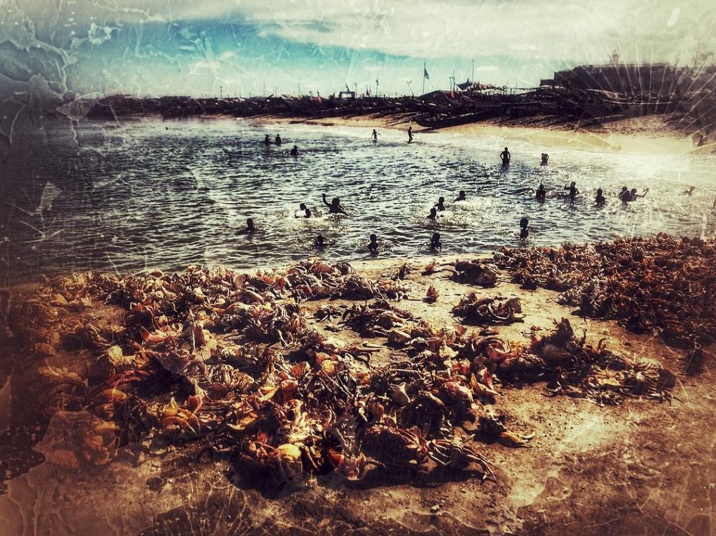 Find the joy in others’ lives and seek to make that joy in yours&hellip;