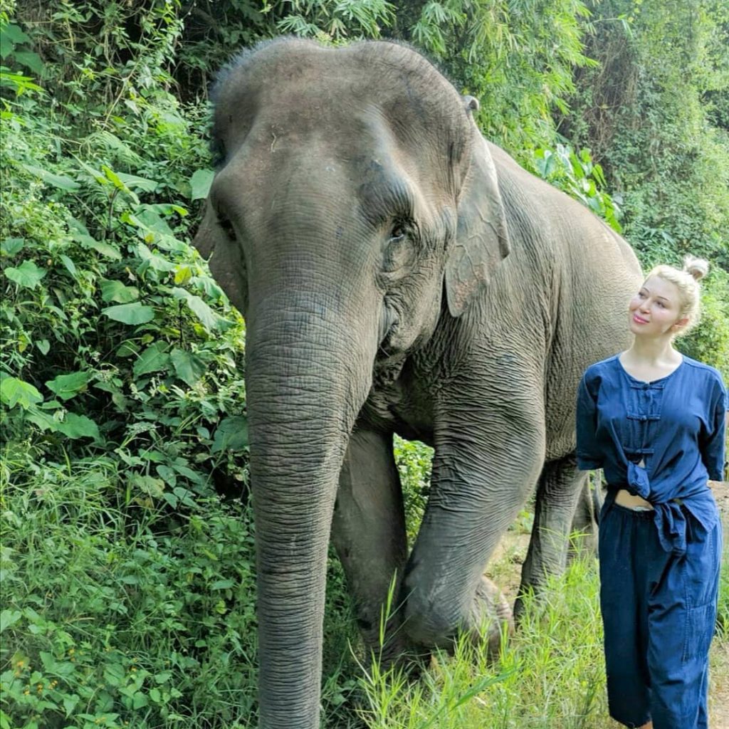 Spacerując z jednym z największych ssaków lądowych na świecie