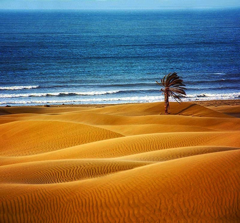 Iran-Sistano Baluchestan,Chabahar,Makran,Darak of Zar Abad First and alone place in the world from Iran…