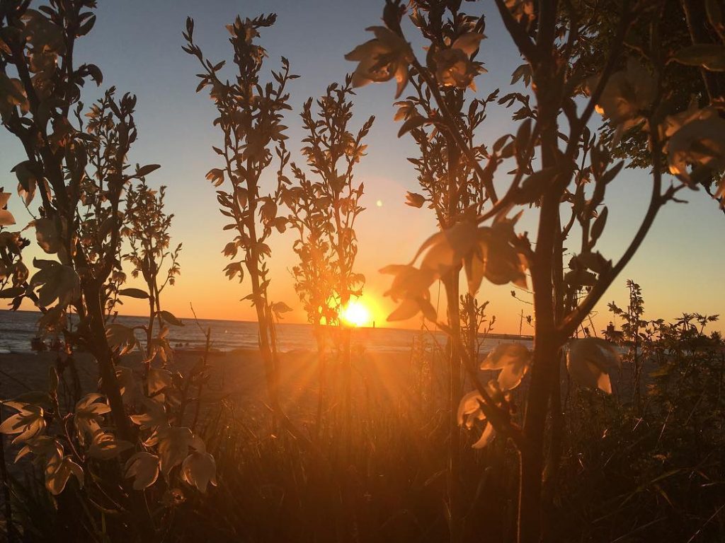 The last sunset of the trip (I’m trying not to think about it) #lakelife18&hellip;