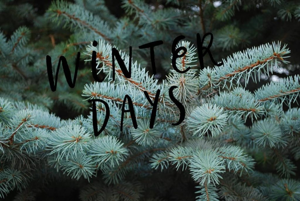 Winter Winter is magic You cant get too much winter in the winter ●…