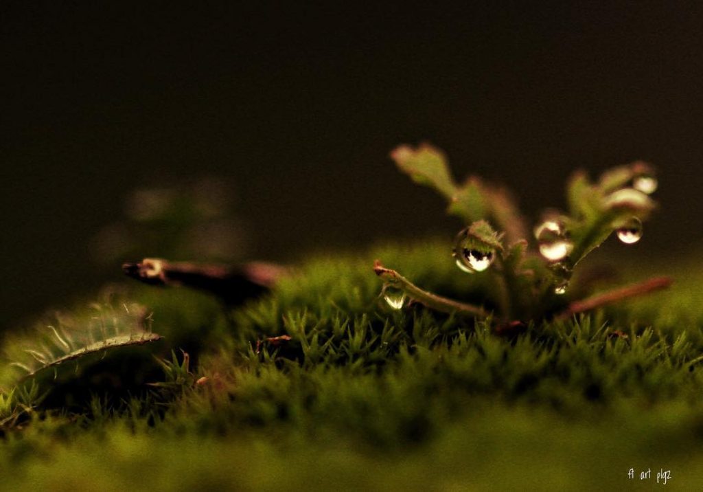 #fotoartistiche #bnesimppl #fotartplgz #pierluigizag Edited with: @carbonblackandwhite _ #weather #skylovers #natureporn #amazing #skypainters #gf_daily&hellip;