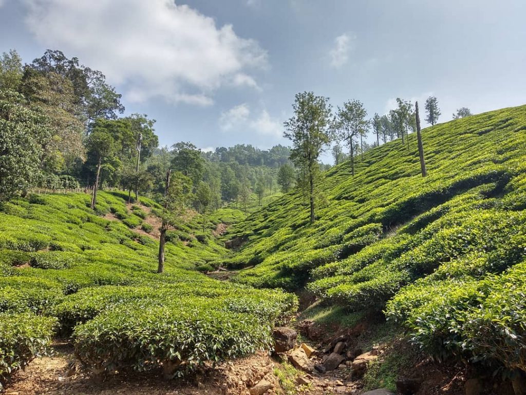 Into the . . . . . . . #karnataka #karnatakatourism #colorsofindia #colorsofnature #ig_india&hellip;