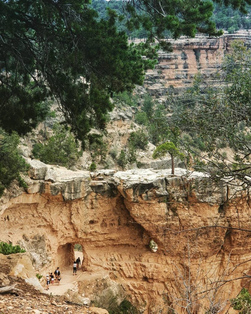 #grandcanyon #grandcanyonnationalpark #grandcanyonskywalk #grand #arizona #arizonaphotographer #arizona_hiking #arizonaphotography #arizonaliving #arizonahiking #arizonalife #arizonaheat #america #americatrip…