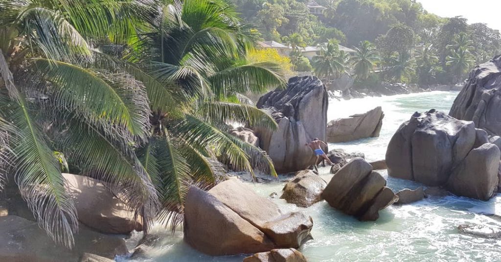 #ladigueisland #travel #seychelles #friends #travelphotography #travelpic #visitseychelles #climbing #palmbeach #bluewater #ladigue #travelblogger #travelphoto #travelistolive…