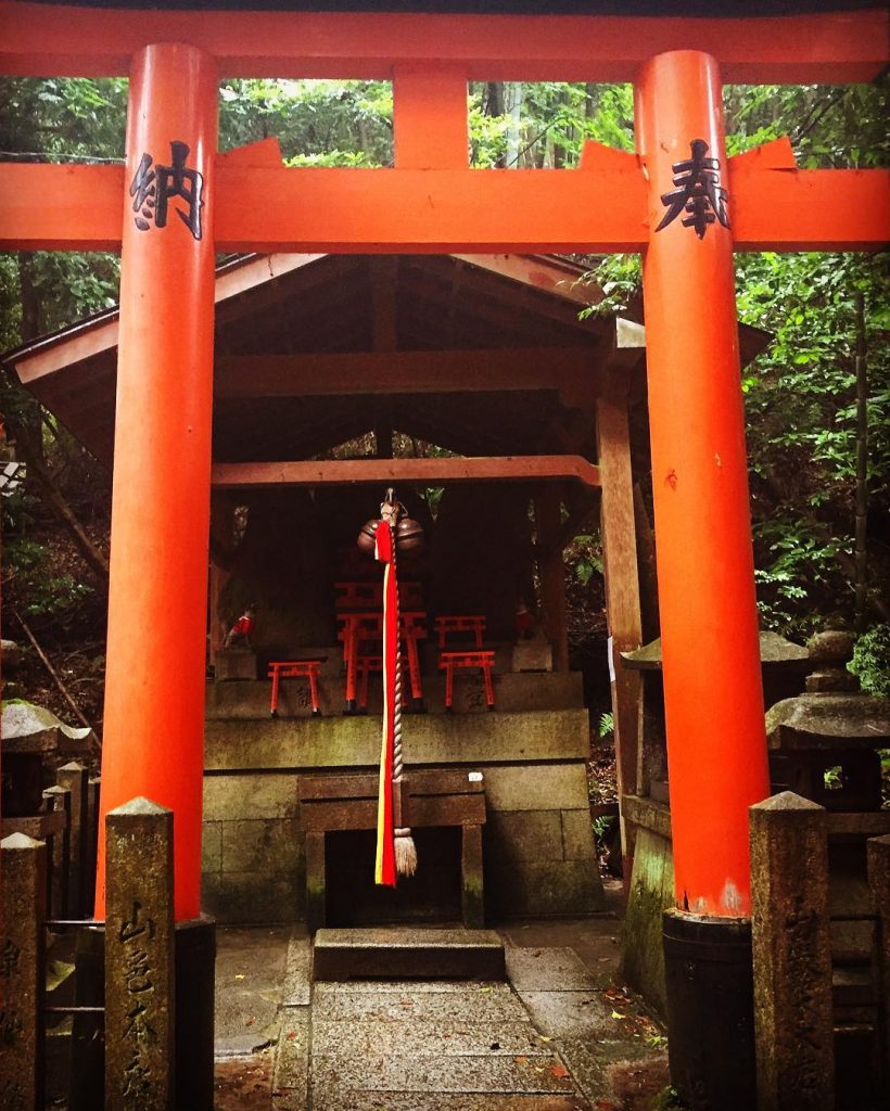 #inarishrine #fushimiinari #kyoto #japan #twmd #bnesimppl #travelbug #wanderingcities #bestcitymoments #fushimiinaritaisha #citiesofdreams #traveling #travelgram #kyotojapan…