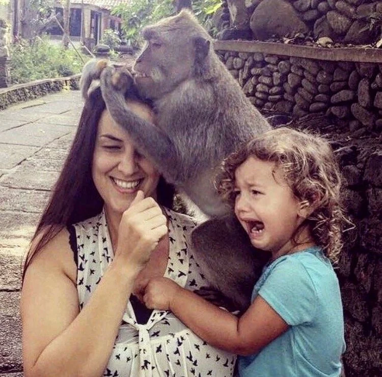 Don’t let the Sunday scaries get you down! Check out @babies_abroad travels to Bali&hellip;