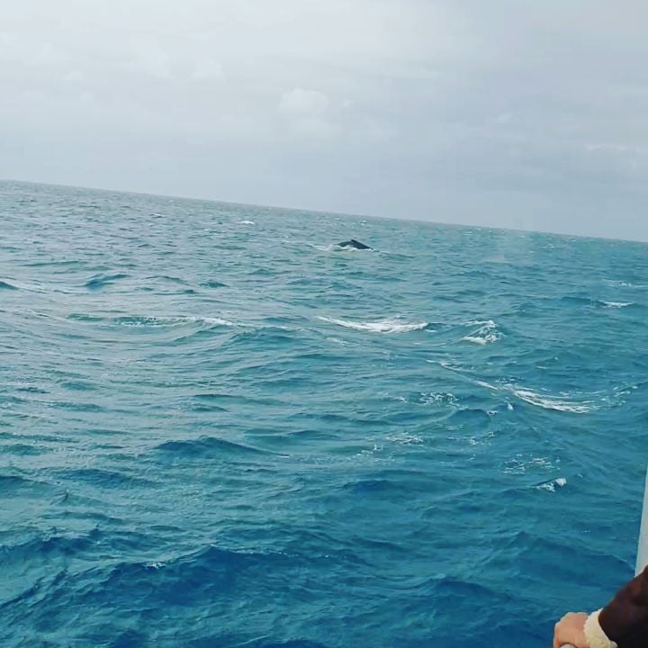 It was a rainy and windy day. Sea was so choppy but captain of…