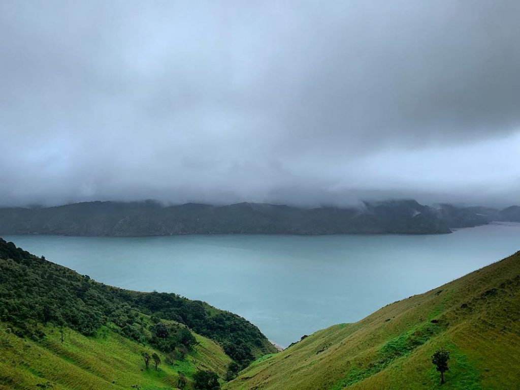 Sometimes you don’t need a caption! #NewZealand #Auckland #awhitupeninsula #NewZealandLife #bnesimppl