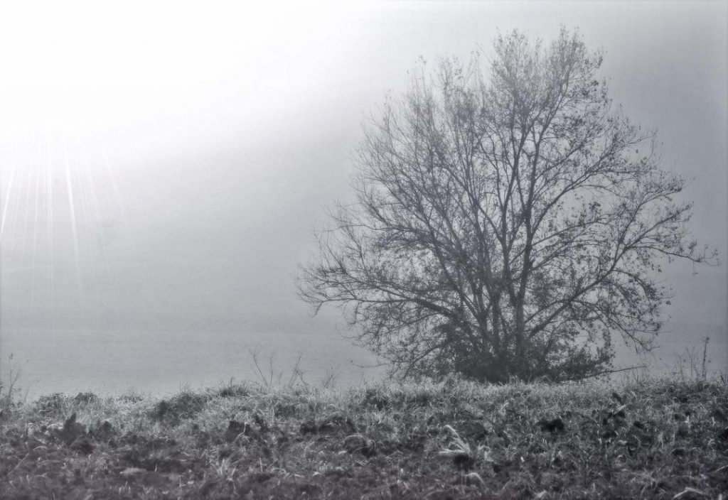 #fotoartistiche #bnesimppl #fotartplgz #pierluigizag #valdichiana iana Edited with: @carbonblackandwhite _ #landscape #amazing #view #trip&hellip;