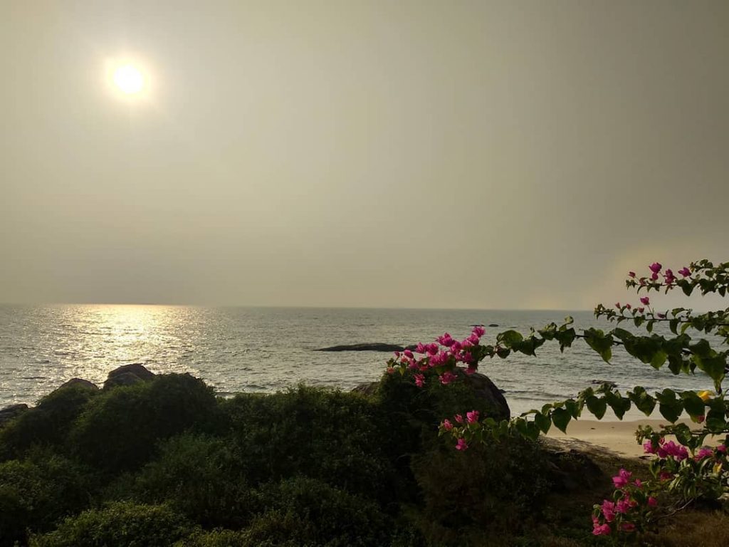 Thou #karnataka #mangalore #karnatakatourism #ig_india #ig_karnataka #ig_karnataka_tourism #ig_countryside #breeze #ig_color #viral #dusk #colorsofindia #colorsofnature&hellip;