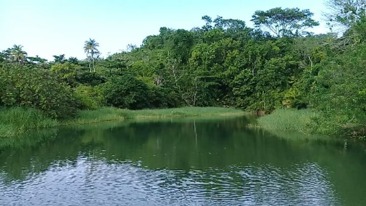 Espacios llenos de Paz Ph. Kidd J . #Paradise #River #Boat #travelphotography #adventure #instatravel&hellip;