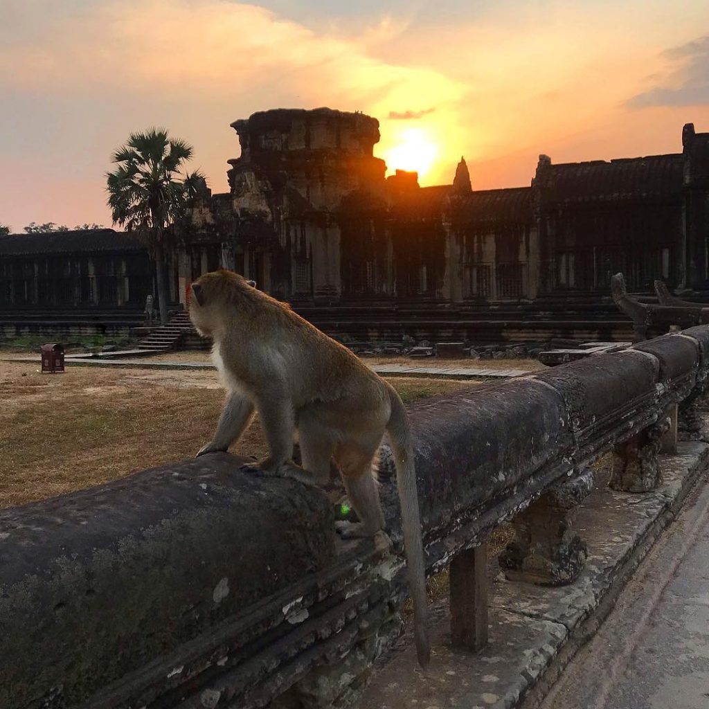 Sunset at Angkor Wat tonight ️ . . . #angkor #angkorwat #angkorwattemple #cambodia #cambodia????????&hellip;