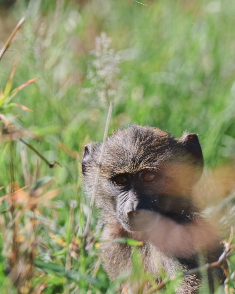 La primera foto es una de mis favoritas de las que he sacado en&hellip;