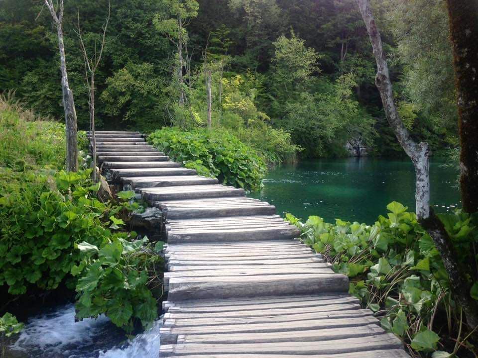 #plitvicelakes #lakes #waterfall #croatia #green #forest #summer #travel #explore #travelblogger #bnesimppl #instagram #instagood #photography&hellip;