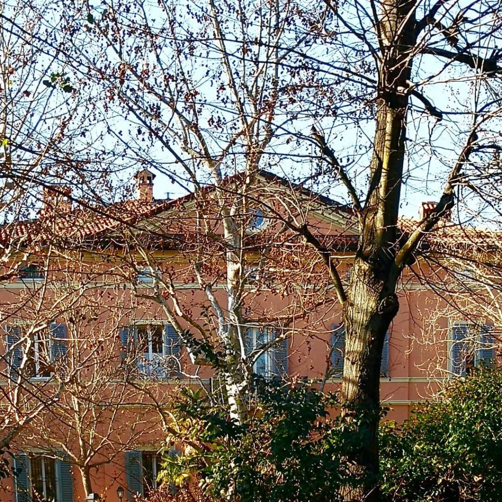 #bologna #bologna_city #bolognainside #succedesoloabologna #bolognawelcome #welcometobologna #volgobologna #bellabologna #igersbologna #igers_bologna #ig_bologna #vivibologna #lamiabologna #mybologna&hellip;