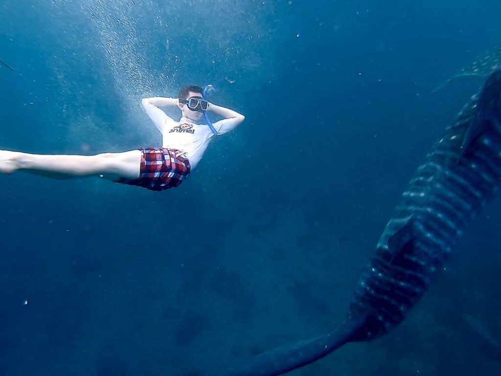 Just chilling with my new friends #whaleshark #chilling #bigbluesea #bigandfriendly #underthesea #waterphotography #travelexploring #travelling&hellip;