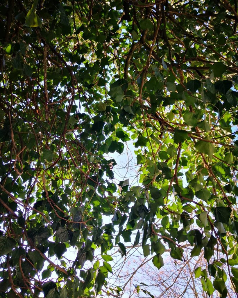 #nature #naturelovers #natura #nature_hub #nature_lovers #nature_photo #igersnature #ignature #ig_nature #rsa_nature #tv_nature #naturelovers #ignature #naturelover_gr&hellip;