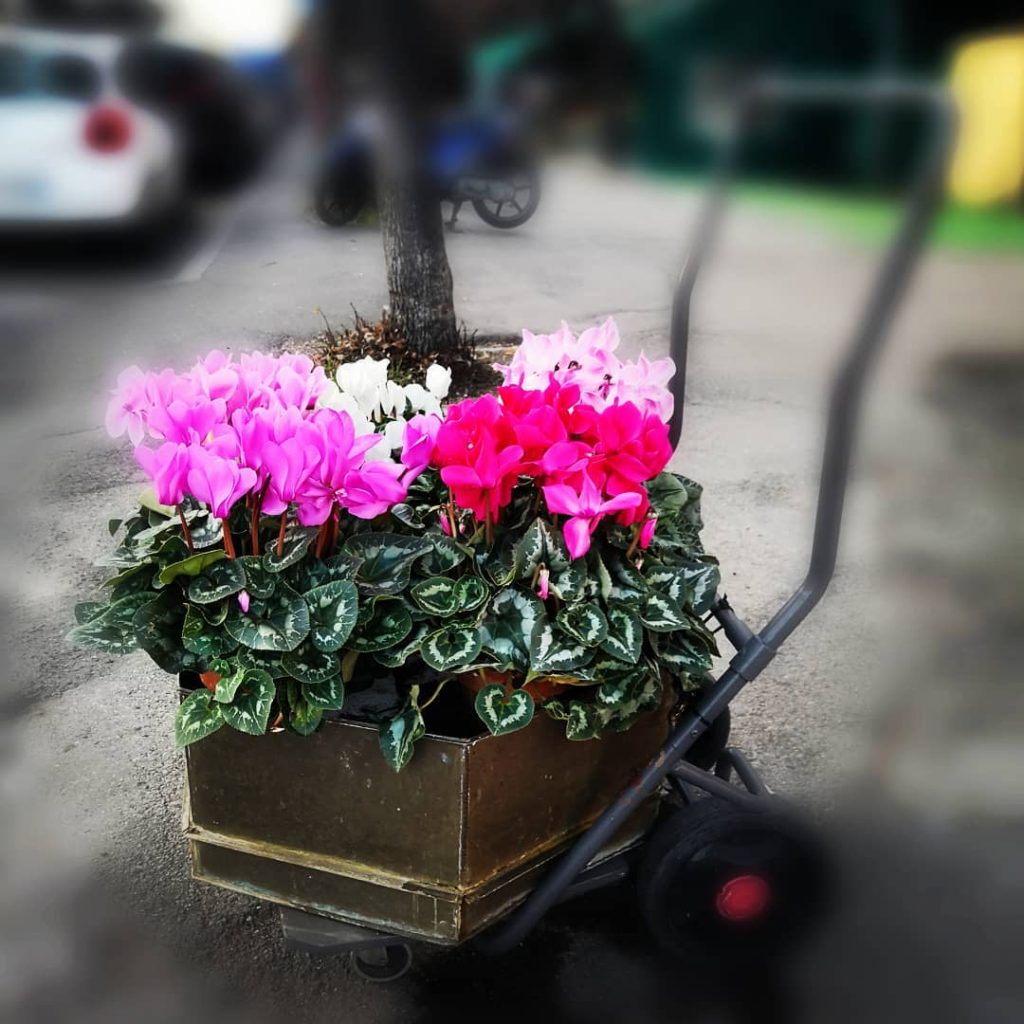 #photography #streetphotography #street #photooftheday #photo #photography #instagood #urbanstyle #jj_indetail #jj_colorlove #photooftheday #nothingisordinary #nothingisordinary_ #tv_pointofview&hellip;