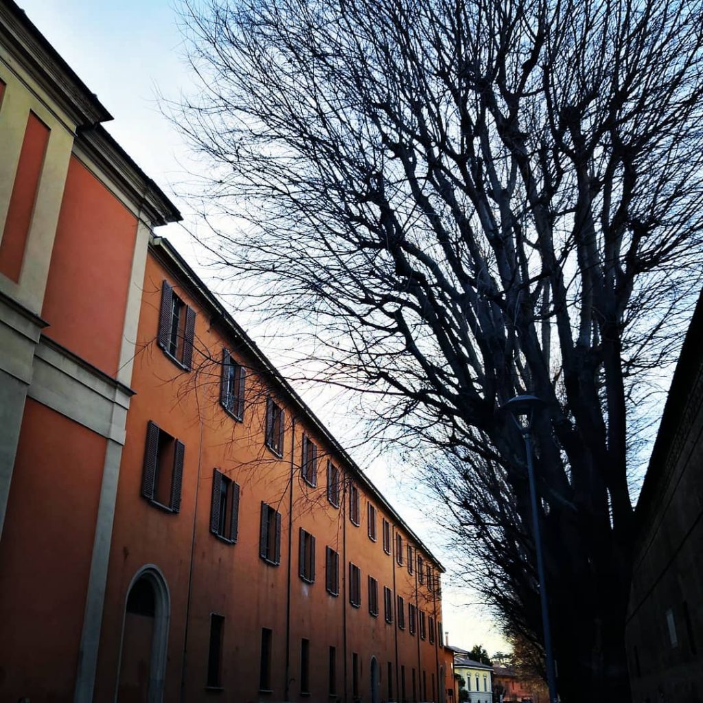#bologna #bologna_city #bolognainside #succedesoloabologna #bolognawelcome #welcometobologna #volgobologna #bellabologna #igersbologna #igers_bologna #ig_bologna #vivibologna #lamiabologna #mybologna…