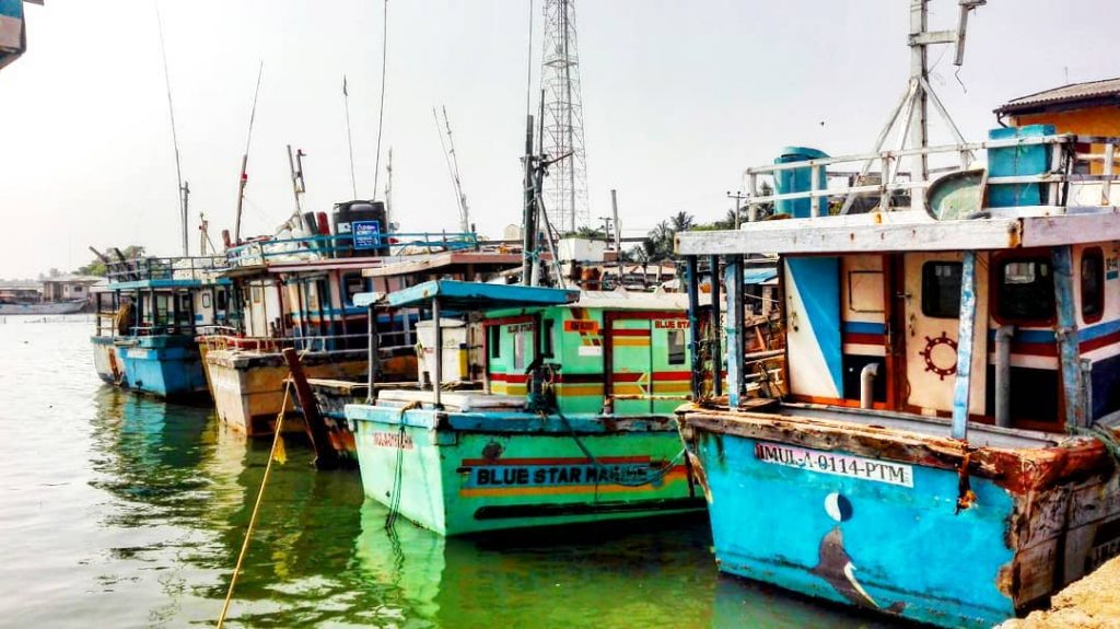 More boats in Kalpitiya . . . #srilanka #srilankatravel #travelsrilanka #boats #harbor #srilankan #destinations&hellip;