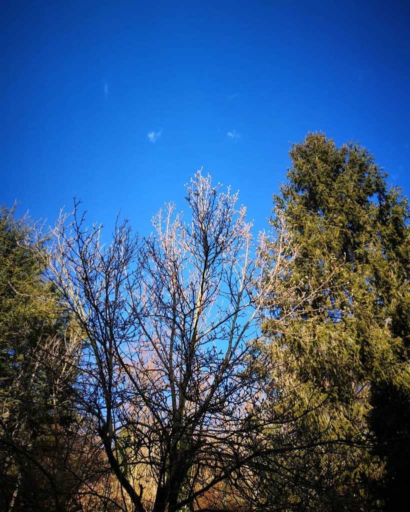 Dalla finestra, tutte le #casaAra #home #casa #acasa #athome #casadolcecasa #homesweethome #homeiseverywhere #home_ #rsa_home&hellip;