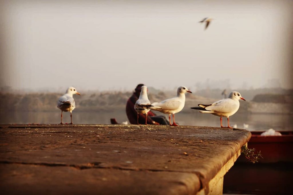 #yamunaghatdelhi #sunrise_sunset #beautyshoot #snapwithritu #bnesimppl #blackandwhite #mypixeldiary #camerawalebhaiya #photoofthedayy #indianstoriesIS #indianstories #streetbloggers #streetartistry #streetframe&hellip;