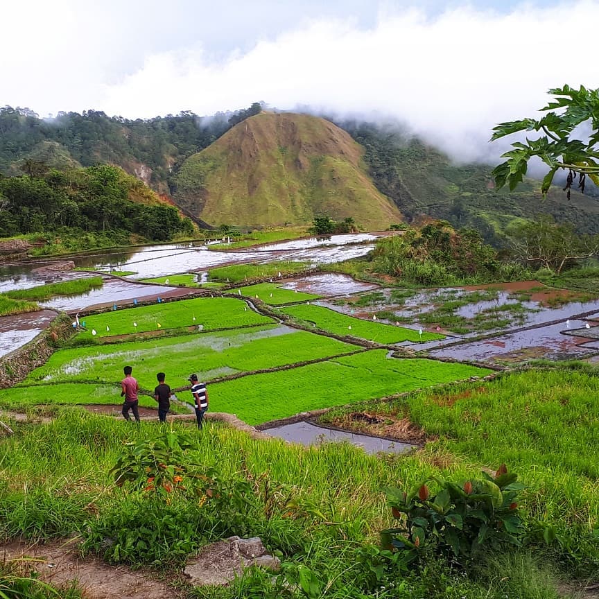 #ig_philippines #travelphilippines #ricefields #travelphotography #travelokaph #pilipinasdestination #bnesimppl