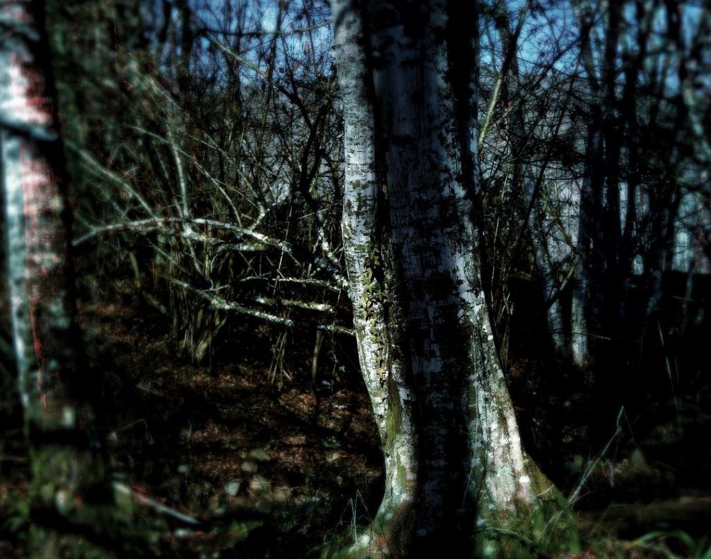 #fotoartistiche #bnesimppl #fotartplgz #pierluigizag Edited with: @carbonblackandwhite _ #weather #skylovers #natureporn #amazing #skypainters #gf_daily&hellip;