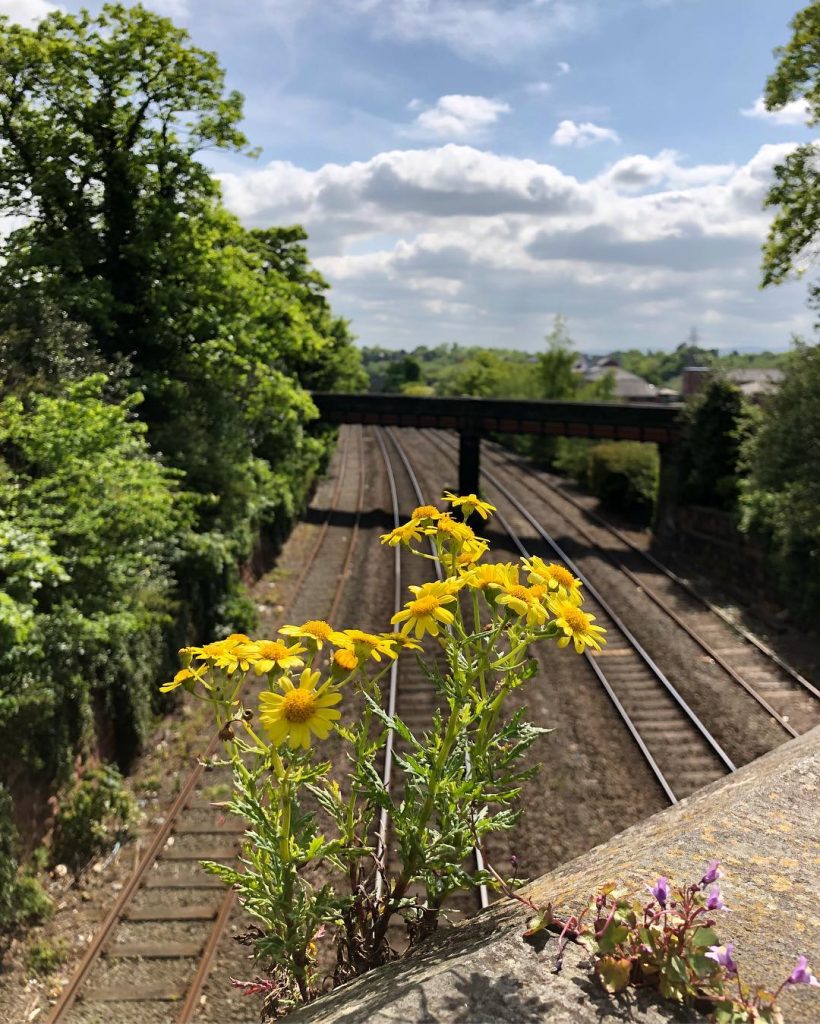 Is it just me, or do you ever feel like your thoughts or emotions&hellip;