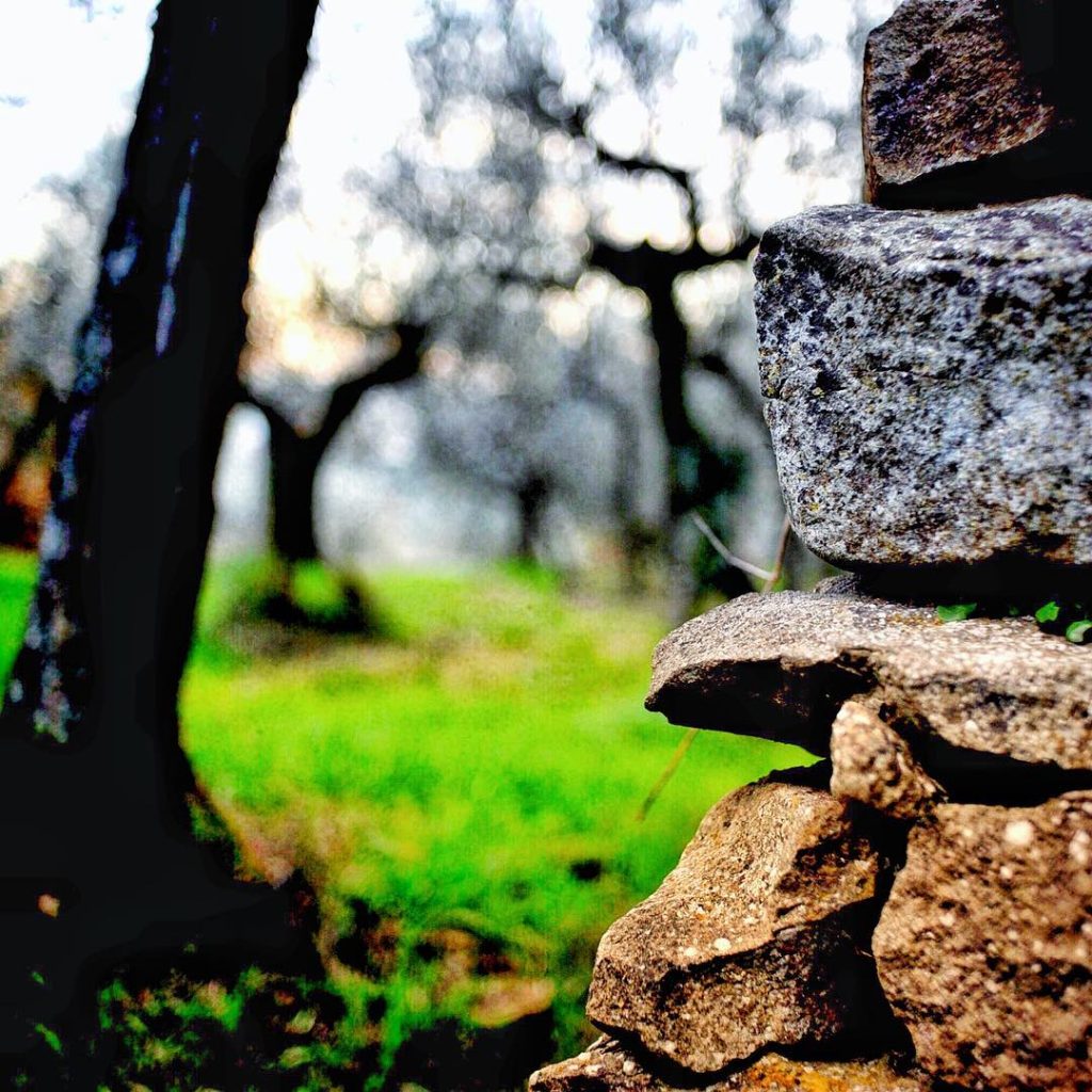 #fotoartistiche #bnesimppl #fotartplgz #pierluigizag Edited with: @carbonblackandwhite _ #weather #skylovers #natureporn #amazing #skypainters #gf_daily&hellip;