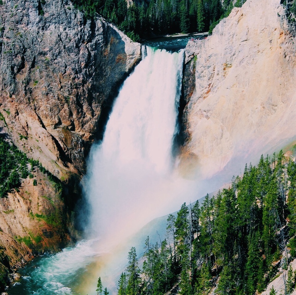 Majestic! #nationalparks #nationalpark #yellowstone #explore #adventure #roadtripusa #roadtrippers #wanderlust #travelblogger #travel #familytravel #familytravel #vacation…