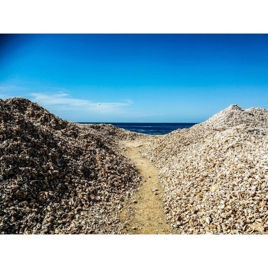 Tonnen von Muschelschalen. “Muschelfriedhof” nennen es die Einheimischen. Das Fleisch wird auf dem Markt…