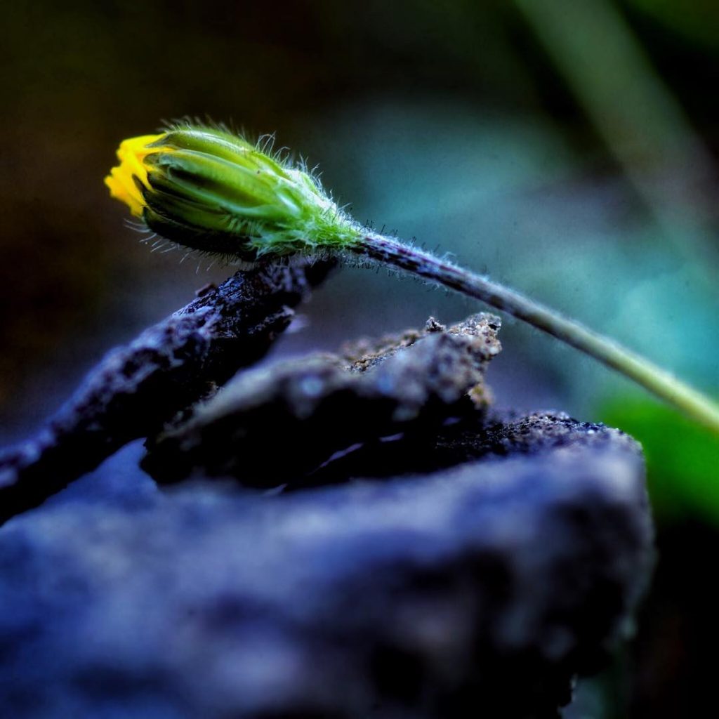 #fotoartistiche #bnesimppl #fotartplgz #pierluigizag Edited with: @carbonblackandwhite _ #weather #skylovers #natureporn #amazing #skypainters #gf_daily&hellip;