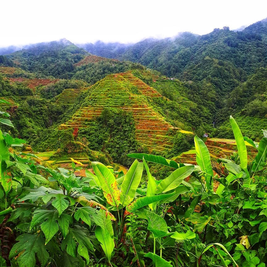 7 wonders of #hagdanhagdangpalayan #travelphilippines #travelphotography #ig_philippines #travelgram #travelokaph #pilipinasdestination #smartguideapp #bnesimppl