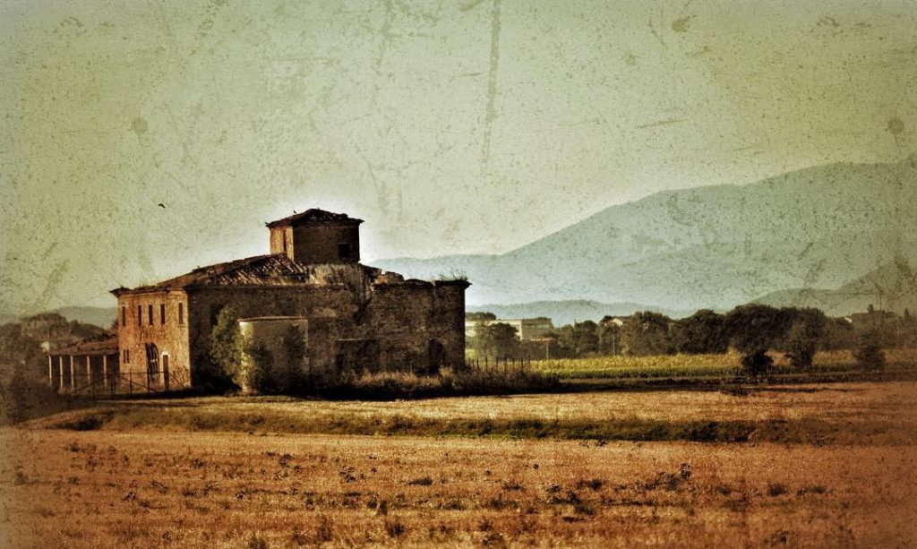 #fotoartistiche #bnesimppl #valdichiana #fotartplgz #pierluigizag Edited with: @carbonblackandwhite _ #landscape #amazing #view #trip #tree&hellip;