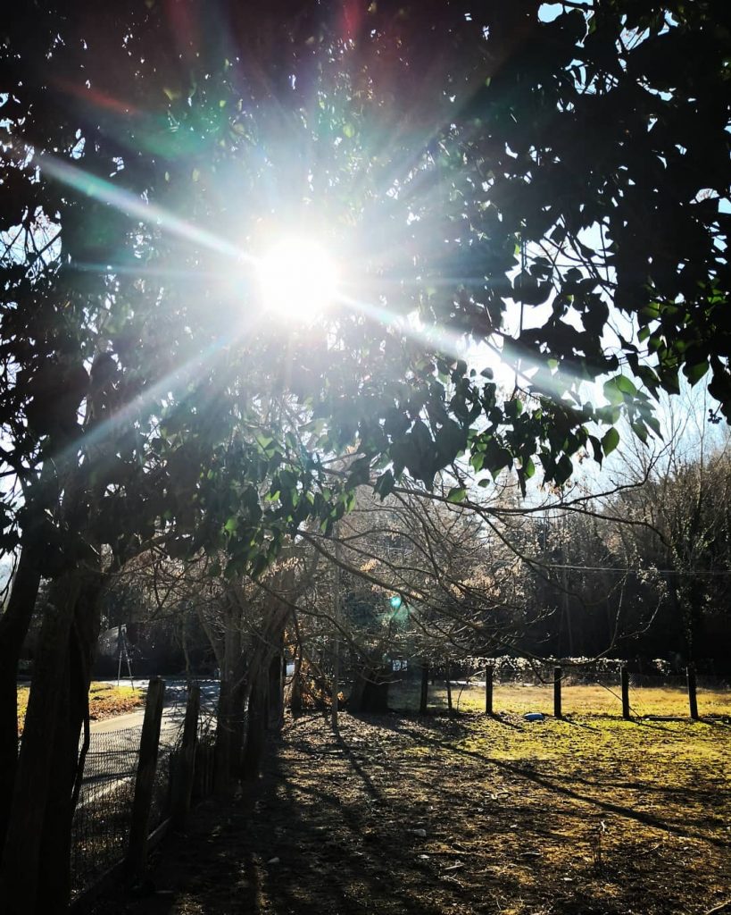 #nature #naturelovers #natura #nature_hub #nature_lovers #nature_photo #igersnature #ignature #ig_nature #rsa_nature #tv_nature #naturelovers #ignature #naturelover_gr&hellip;