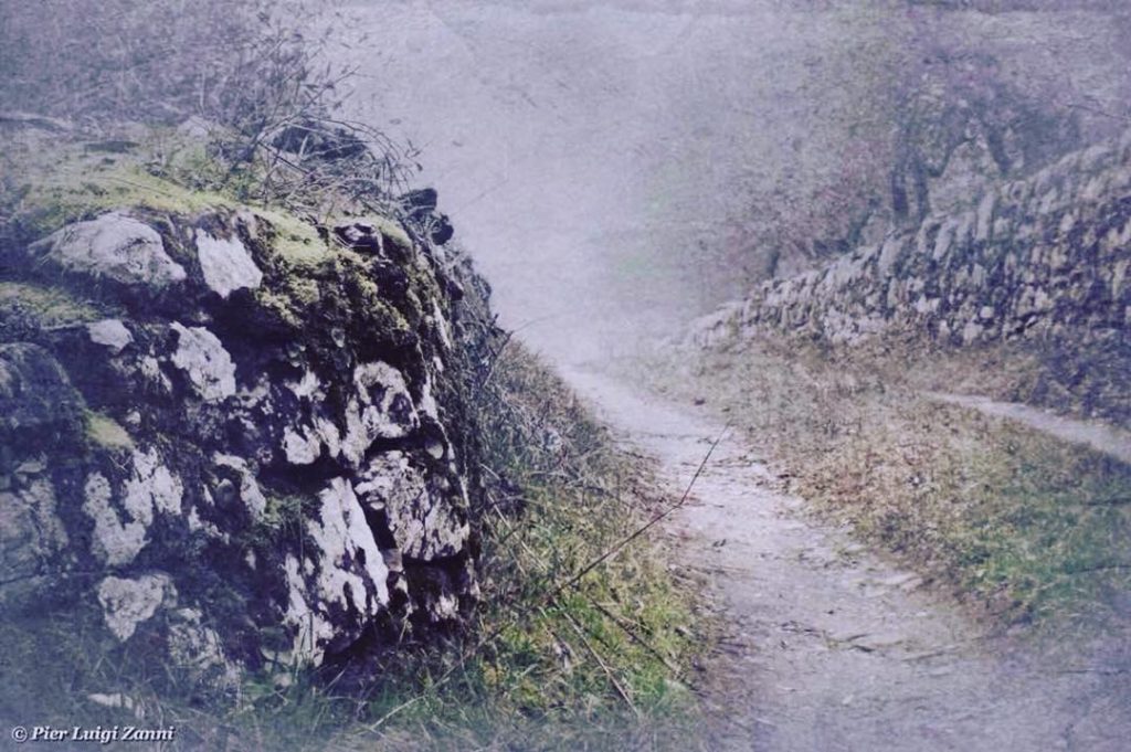 #fotoartistiche #bnesimppl #bnesimppl #fotartplgz #pierluigizag Edited with: @carbonblackandwhite _ #landscape #amazing #view #trip #tree&hellip;