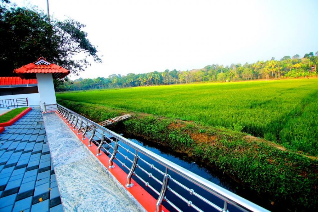 Meet, greet, eat, play @jjsfarmhouse . #jjsfarmhouse #keralatourism #airbnbkerala #farmhouse #homestays #tourism #backwaters #airbnbindia&hellip;