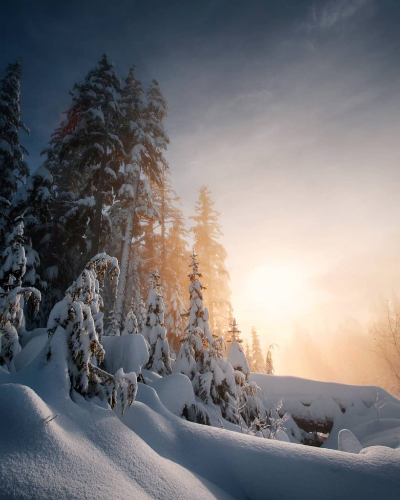 Strange sights of Northern BC. . . . . . . . . .&hellip;