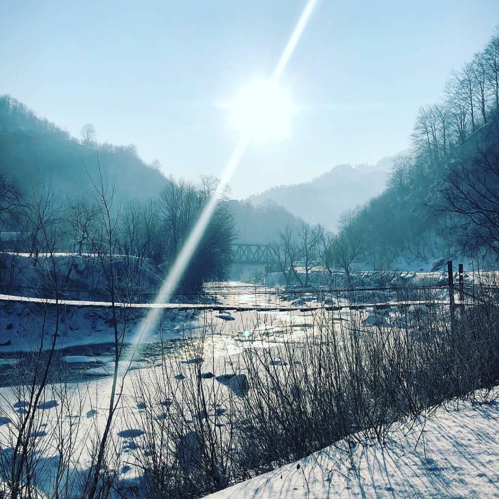 I literally have no comment for this blissful photo ????