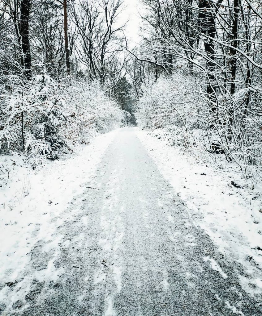 Walking in the snow ️ January in Stuttgart ️️ #winter #snow . . .…