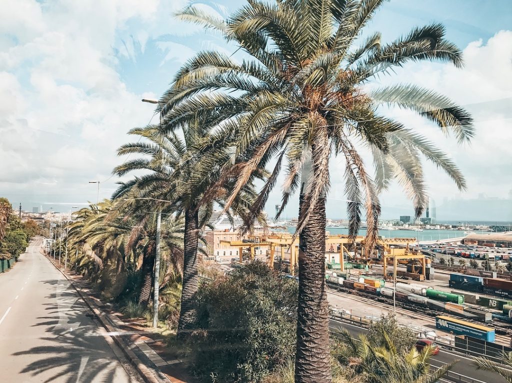 Barcelona, Spain • Here’s to getting through blue Monday I bet there’s no winter…