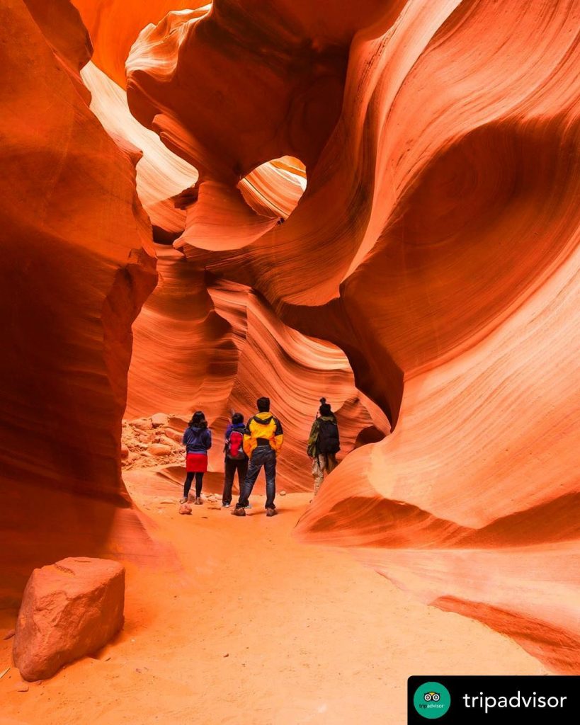 Click on the link in the bio or simply give us a call for&hellip;