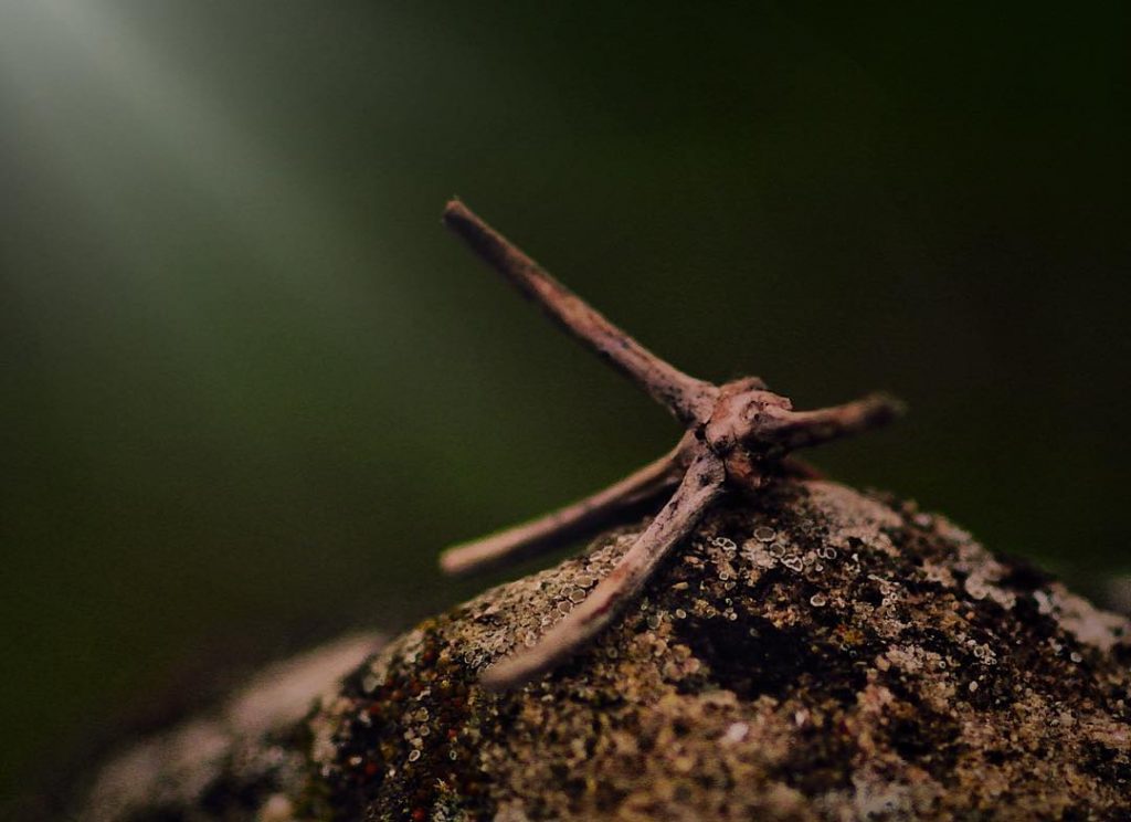 #fotoartistiche #bnesimppl #fotartplgz #pierluigizag Edited with: @carbonblackandwhite _ #weather #skylovers #natureporn #amazing #skypainters #gf_daily&hellip;