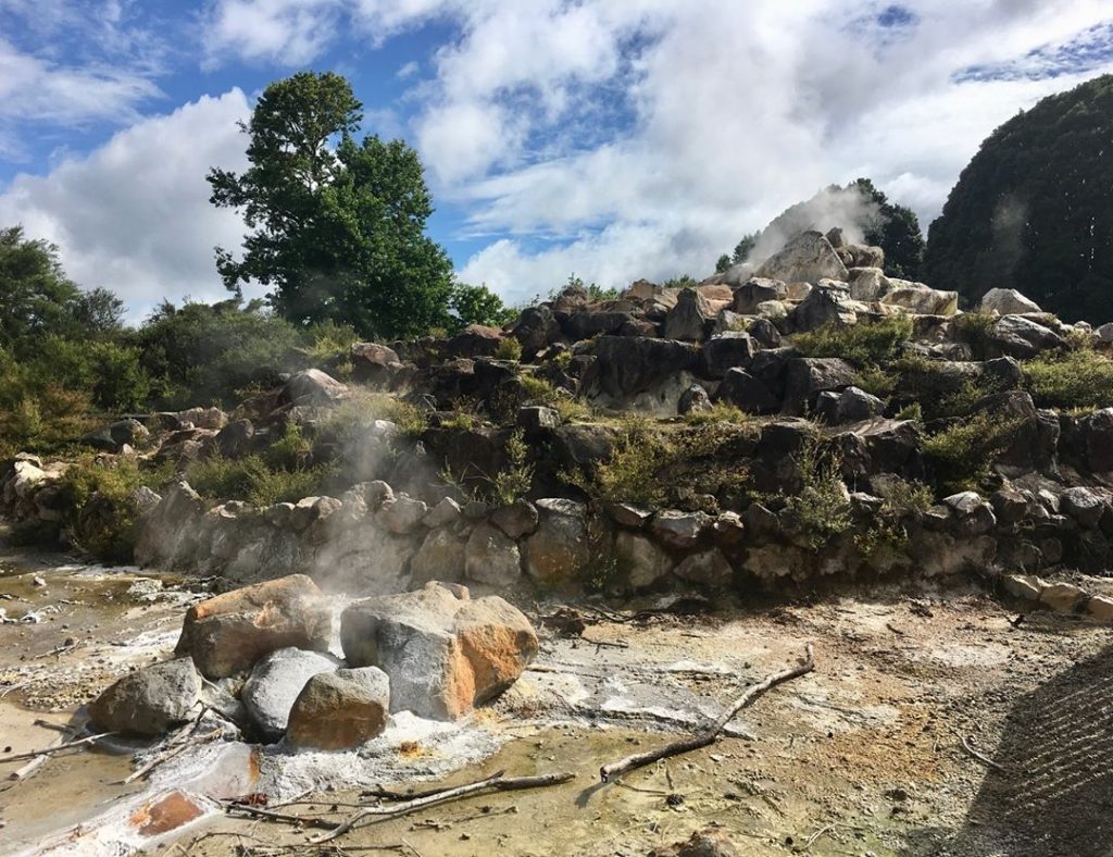 Kuirau Park, Rotorua; New Zealand #csmidlifegapyear #memories #travel #travelblogger #travelbug #tbt #photo #adventure #amemoryaday…